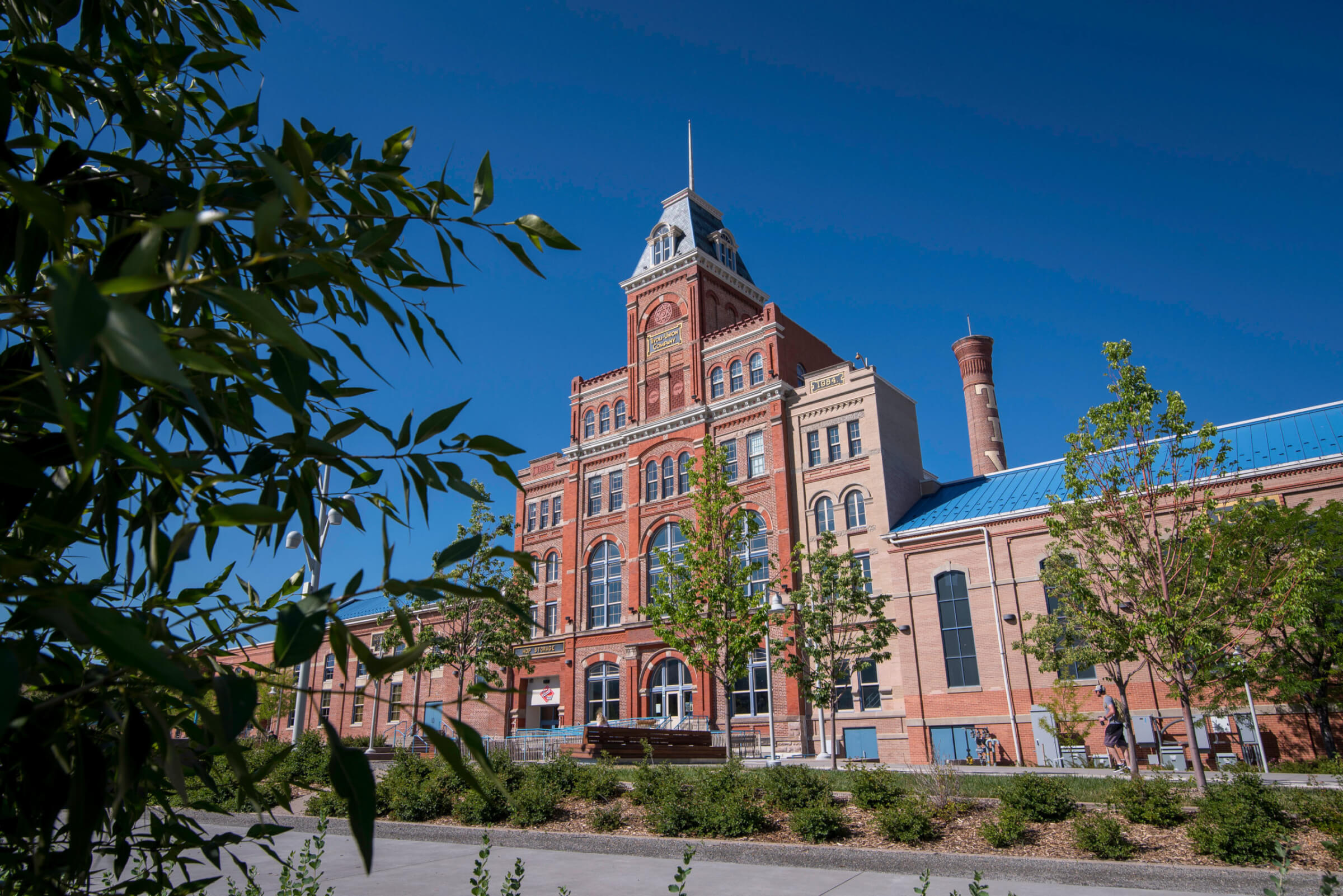 Campus Summer Buildings.