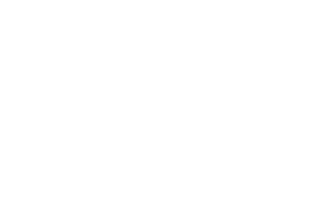 Bridgewater white logo