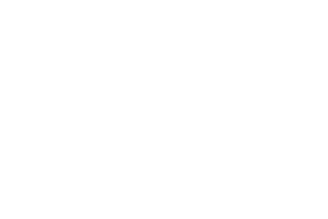 Internet2 white logo