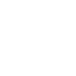 Saint Francis White Logo