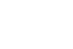 OCAD U Logo White