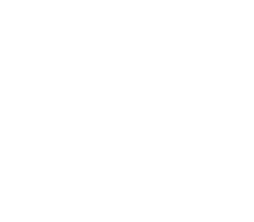 South Texas College White Logo